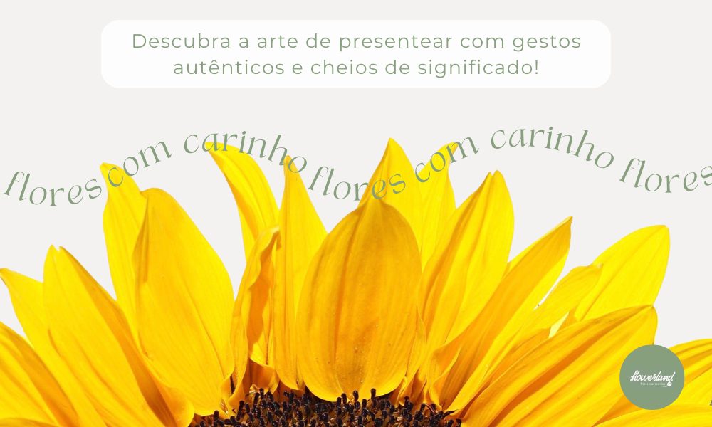 Flores com Carinho đ
