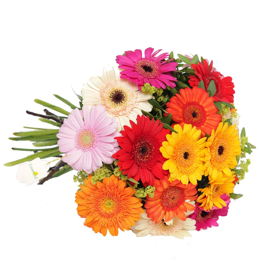 BUQUÊ 12 GERBERAS