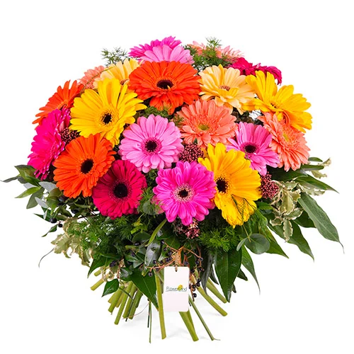 BUQUÊ 24 GERBERAS