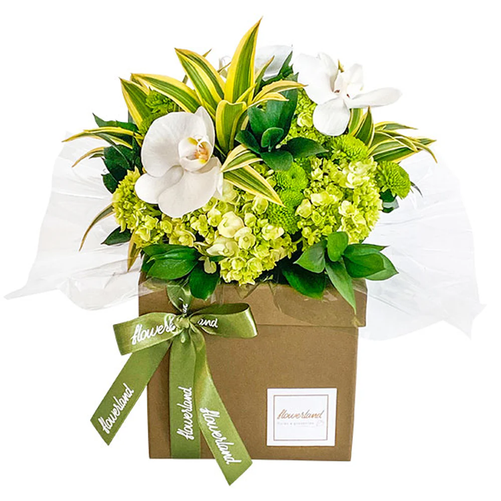 Caixa Lux Green Love
