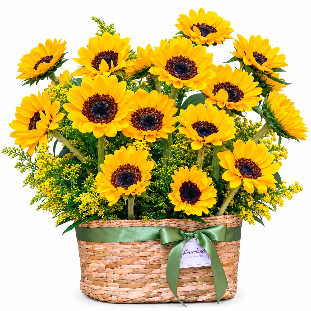Cesta Luxo Com 18 Girassóis (Grande) | Flowerland, floricultura com entrega no Rio de Janeiro