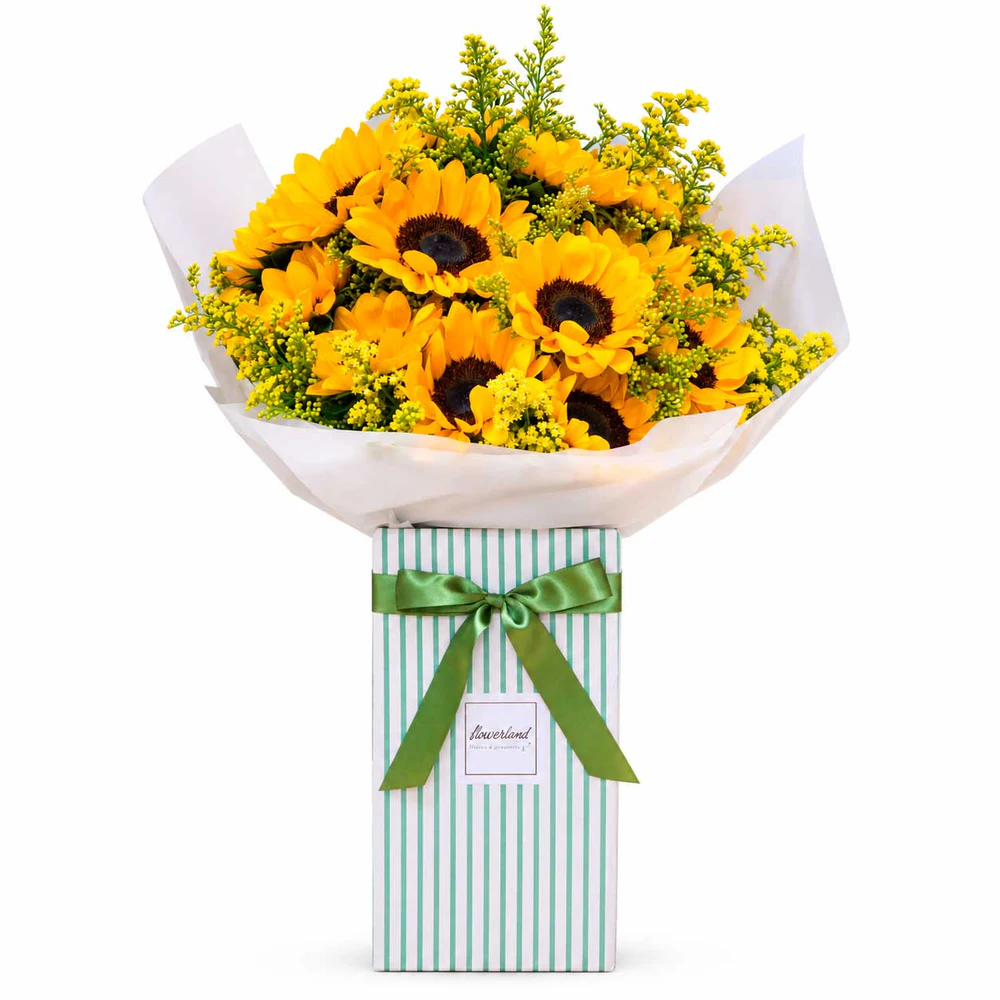 Flower Box 15 Girassóis – Grande