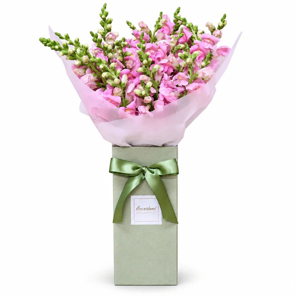 Flower Box Linda Demais Cor de Rosa