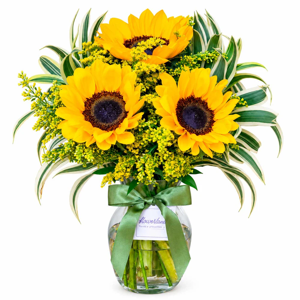 Vaso Com 3 Girassóis | Flowerland, floricultura com entrega no Rio de Janeiro