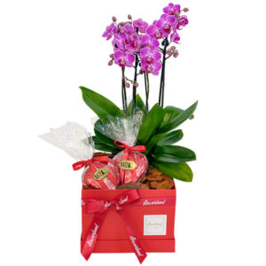 caixa de orquídeas e chocolates