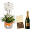 orquídeas, chocolates e champanhe