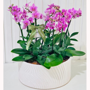 Cerâmica Branca com 4 Mini Orquiídeas lilas